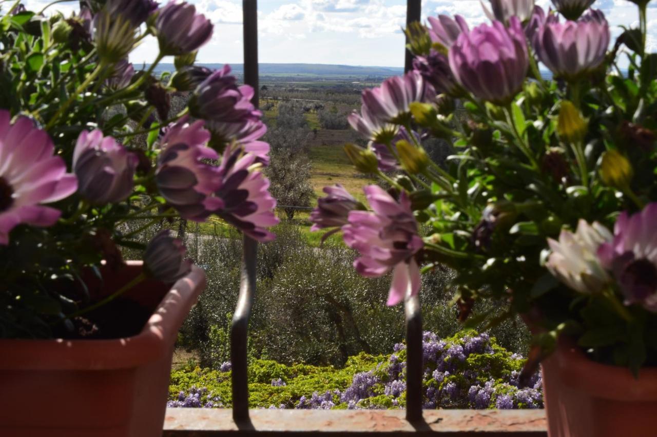 Bed and Breakfast Terme E Relax Nella Campagna Viterbese Exterior foto