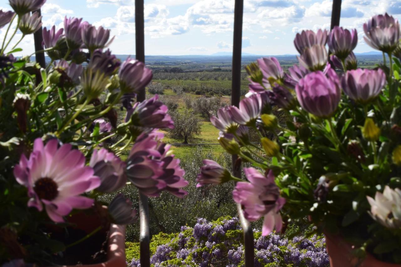 Bed and Breakfast Terme E Relax Nella Campagna Viterbese Exterior foto