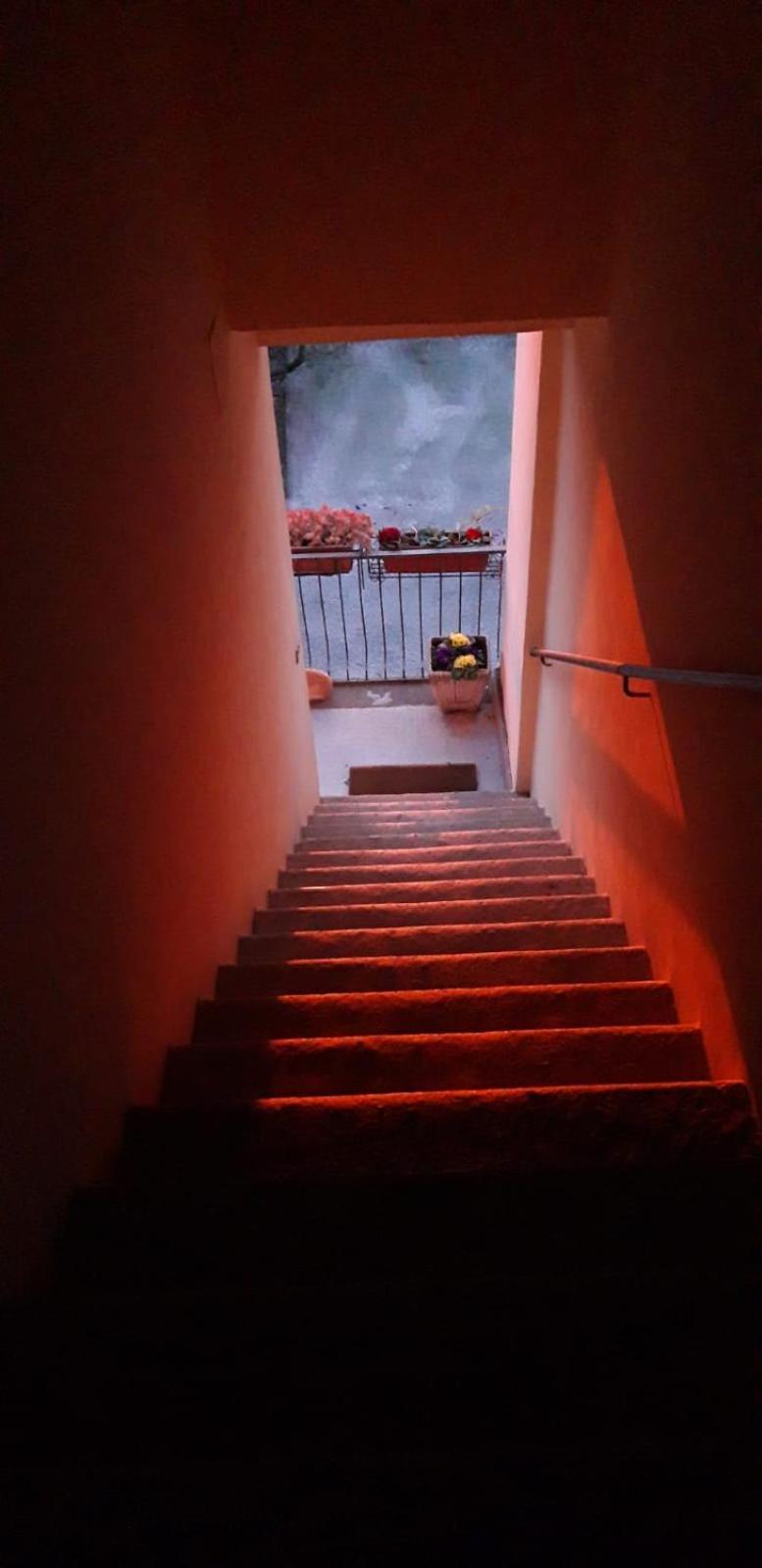 Bed and Breakfast Terme E Relax Nella Campagna Viterbese Exterior foto